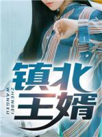 镇北王婿