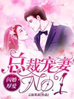 闪婚厚爱：总裁宠妻NO.1