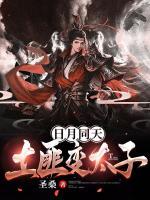 日月同天:开局土匪变太子
