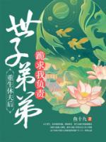 重生休夫后，世子弟弟跪求我负责
