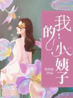 我的小姨子