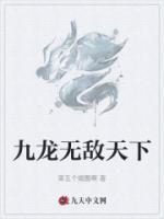 九龙无敌天下