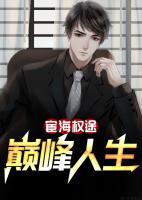 宦海权途：巅峰人生