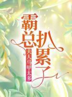 夫人马甲太多，霸总扒累了