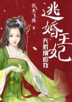 逃婚王妃：夫君别追我