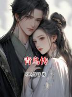 青鸟传