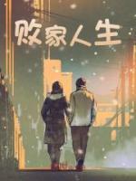 败家人生