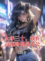 大年三十，我在高速路偶遇老公