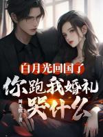 白月光回国了，你跑我婚礼哭什么