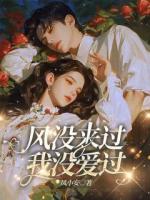风没来过，我没爱过