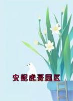 安妮虎哥园区