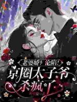 老婆娇！沦陷！京圈太子爷杀疯了