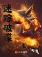 迷踪破谍