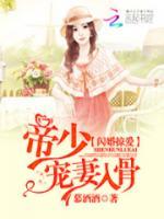 闪婚帝少太高冷