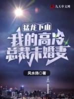 猛龙下山：我的高冷总裁未婚妻