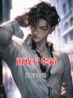 雨夜行李箱