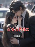 百分百匹配2