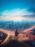 苏音然王阳