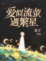 沐星澜陆司沉笔趣阁