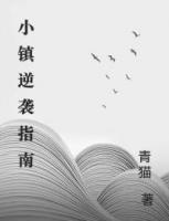 小镇逆袭指南