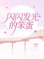 闪闪发光的笨蛋