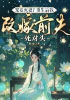 宠妾灭妻？重生后我改嫁前夫死对头