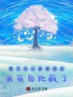 佛子老公兼祧两房，我死后他疯了