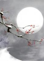 给我一场荒唐的结局