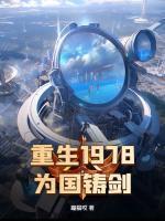 重生1978，为国铸剑