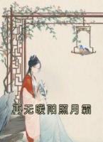 再无暖阳照月霜