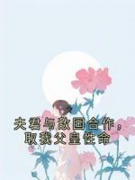 夫君与敌国合作，取我父皇性命