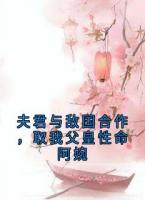 夫君与敌国合作，取我父皇性命阿婉