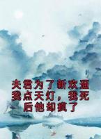 夫君为了新欢逼我点天灯，我死后他却疯了