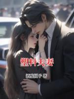 塑料夫妻