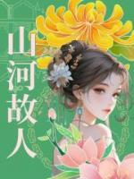 山河故人