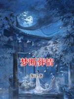 梦断葬情