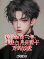 妻子装穷三年，却送白月光两千万的别墅
