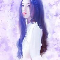 南乔司锦年
