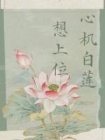 心机白莲想上位