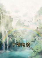 宁婉陆慎