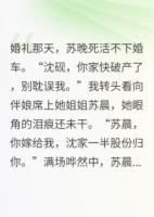 新娘不下车，我转脸娶了她姐姐