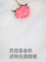 风把思念吹成诗免费阅读