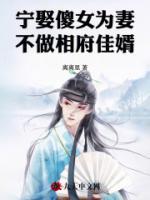 宁娶傻女为妻，不做相府佳婿