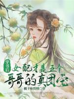 救命！大佬妹控团总怕我被男二拐跑