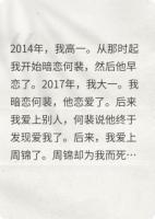 该死的小偷