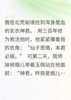 我在北荒捡到浑身是血的神君