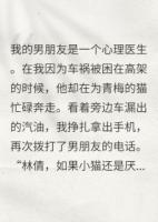 三年爱意终止