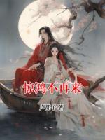 惊鸿不再来