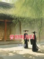 曾照明月归
