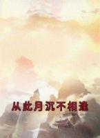 从此月沉不相逢